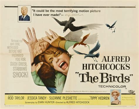  The Birds: Hitchcock'ın Şaheseri ve Doğayla Çatışma